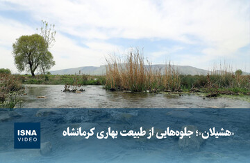 ویدیو/ «هشیلان»؛ جلوه‌هایی از طبیعت بهاری کرمانشاه