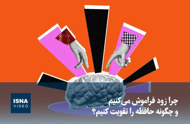 ویدیو/ چرا زود فراموش می‌کنیم و چگونه حافظه را تقویت کنیم؟