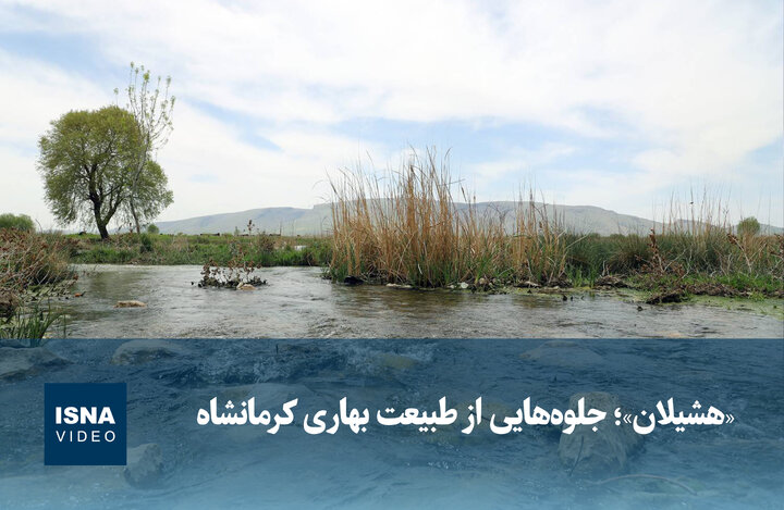 ویدیو/ «هشیلان»؛ جلوه‌هایی از طبیعت بهاری کرمانشاه