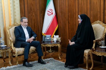 عراقچی: ایران از هیچ تلاشی برای حمایت از حقوق اتباع خود فروگذار نمی‌کند