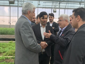 معاون استاندار: گیاهان دارویی می‌تواند بهترین کشت در اراضی بالادستی شرق گلستان باشد