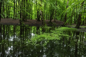دوم اردیبهشت روز جهانی زمین پاک