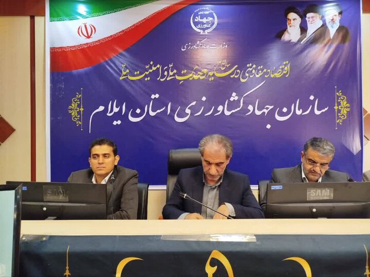 مدیرکل هماهنگی اقتصادی استانداری: روند تولید مرغ در ایلام تسهیل می‌شود
