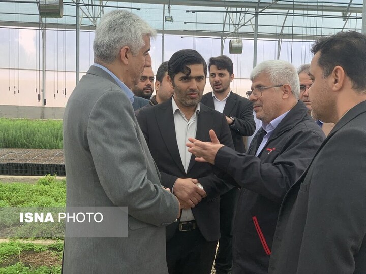 معاون استاندار: گیاهان دارویی می‌تواند بهترین کشت در اراضی بالادستی شرق گلستان باشد