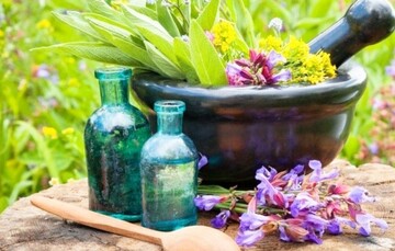 ظرفیت بالای کشت گیاهان دارویی در سراوان
