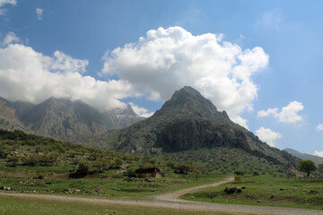 کوه‌های گردشگاه چالابه پوشیده از درختان ارزشمند بلوط است که طبیعتی بکر و بسیار زیبا را خلق کرده‌اند و به محیطی آرامش‌بخش و عالی برای زندگی پرندگان وحشی ساکن کوه‌های زاگرس تبدیل شده‌اند.