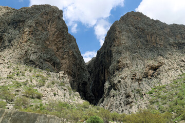 کوه‌های گردشگاه چالابه پوشیده از درختان ارزشمند بلوط است که طبیعتی بکر و بسیار زیبا را خلق کرده‌اند و به محیطی آرامش‌بخش و عالی برای زندگی پرندگان وحشی ساکن کوه‌های زاگرس تبدیل شده‌اند.