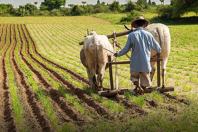 قابلیت‌های هوش مصنوعی در احیای «زندگی روستایی»