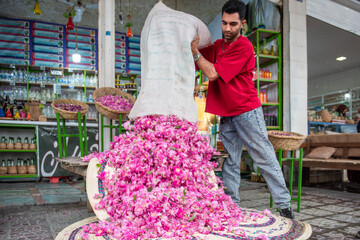 "عطر گلاب؛ میراثی از میمند برای فرشتگان میناب”