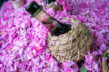 "عطر گلاب؛ میراثی از میمند برای فرشتگان میناب”
