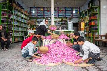 "عطر گلاب؛ میراثی از میمند برای فرشتگان میناب”