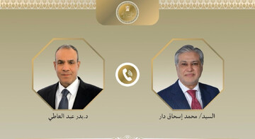تثبیت آتش‌بس، محور رایزنی وزیران خارجه مصر و پاکستان