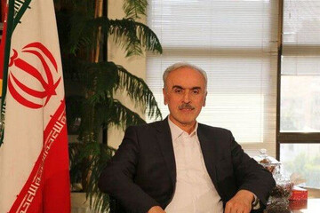 نریمان: مشارکت اقشار کارآمد در مدیریت کشور از شاخص‌ های ایران قوی است