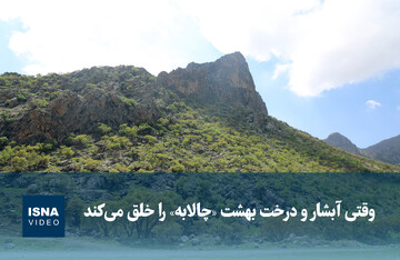 ویدیو/ وقتی آبشار و درخت بهشت «چالابه» را خلق می‌کند