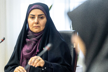 فرزانه صادق مالواجرد، وزیر راه و شهرسازی در شصتمین نشست هم‌اندیشی ارکان شورای اطلاع‌رسانی دولت
