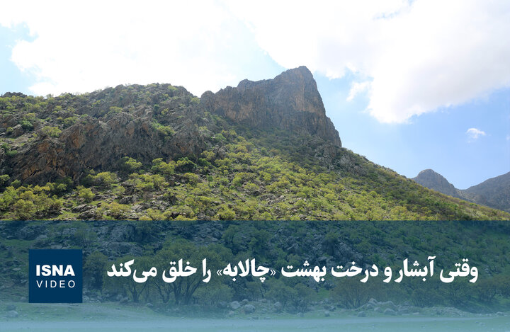 ویدیو/ وقتی آبشار و درخت بهشت «چالابه» را خلق می‌کند