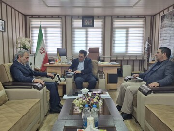 پیش‌بینی برداشت ۶۵۰ هزار تن سیب زمینی از مزارع اردبیل در سال جاری