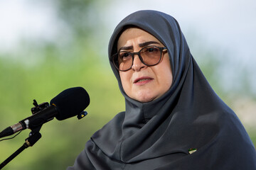 سخنگوی دولت: هیچ اختلافی در کشور وجود ندارد