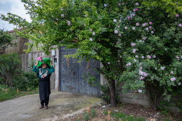 کاروان زیر سایه خورشید - گیلان