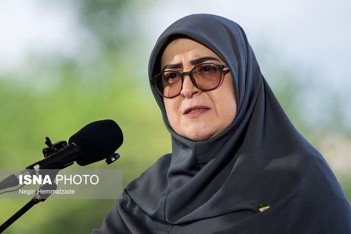 سخنگوی دولت: هیچ اختلافی در کشور وجود ندارد