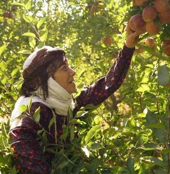 آغاز سریال «مادران» از جمعه با بازی رویا افشار