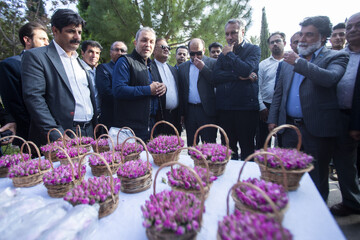 جشنواره گل و گلاب میمند - آرامگاه حافظیه