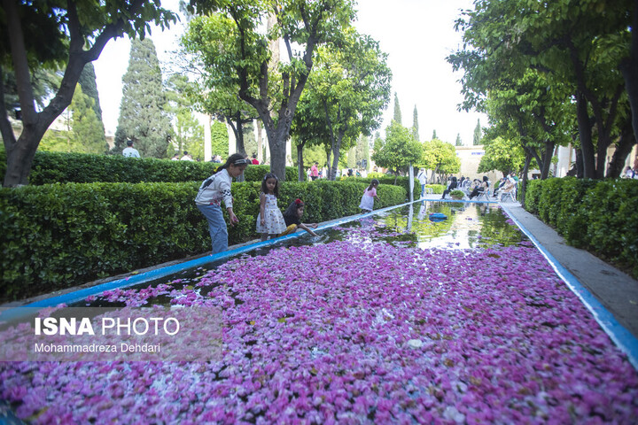 از بالای شیراز تا خاک مصلی؛ روایت‌هایی از حافظیه