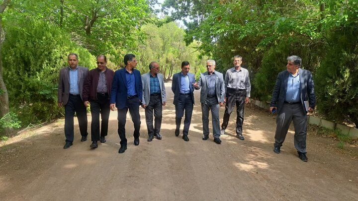 کاشت بیش از ۱۵ میلیون اصله نهال در کشور طی ۲ ماه گذشته