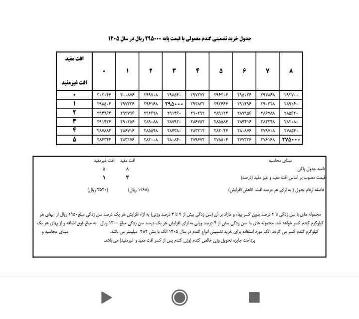 آغاز برداشت و خرید تضمینی گندم در ایلام/ افزایش ۳۰ درصدی تولید نسبت به سال گذشته