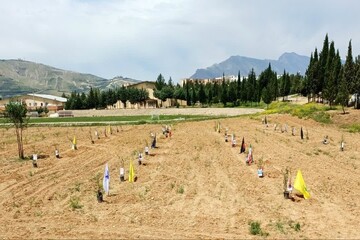 آیین احداث باغ شهدای جنگ دانشگاه آزاد اسلامی لرستان برگزار شد