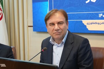 استاندار بوشهر: برخی همسایگان آماده تبدیل شدن به قطب تجاری منطقه‌اند
