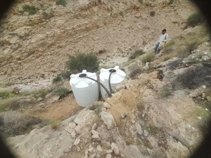 تجلی پیوند سخاوت و طبیعت در جنوبی‌ترین نقطه فارس/ سیراب شدن حیات‌وحش پاقلات با همت خیرین