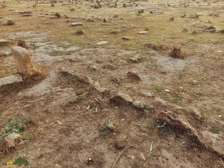  از مهرههای حکاکیشده تا خنجرهای مفرغی؛ گنجینه باستانی «کانگنبد» ایلام
