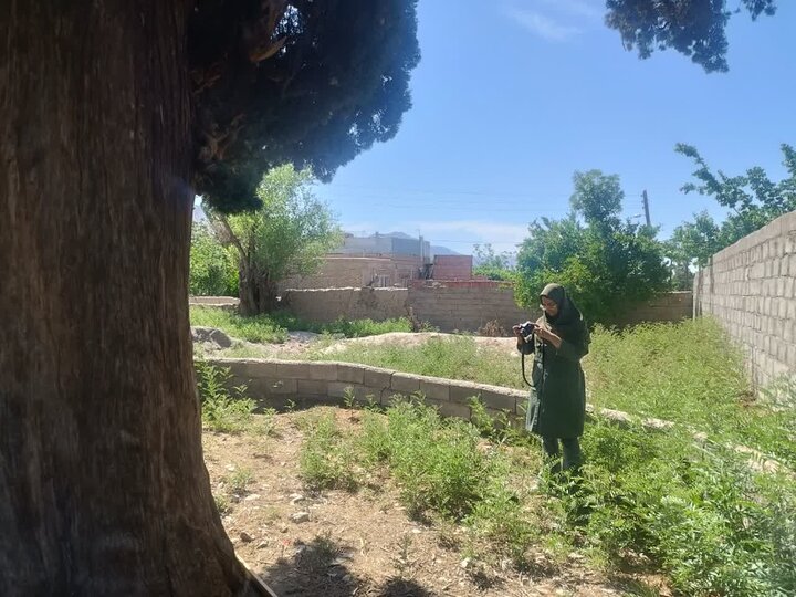 آغاز روند تشکیل پرونده ثبت آثار طبیعی گلباف کرمان