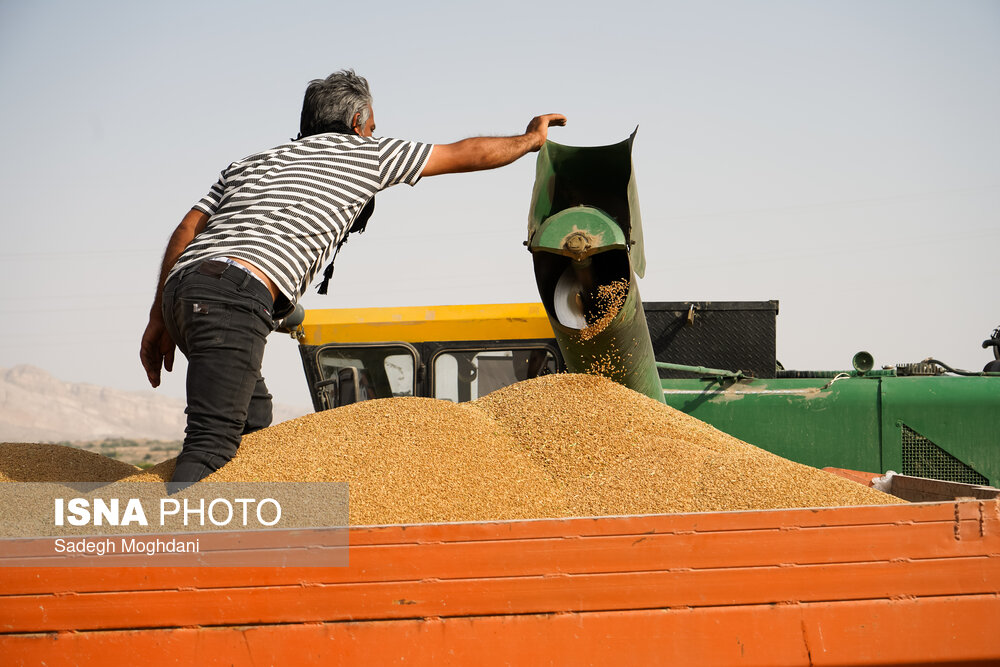 ۱۰۳ مرکز خرید تضمینی برای تحویل محصول کشاورزان گلستانی آماده هستند