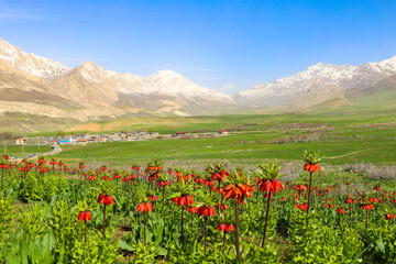 این دشت سرسبز در ۲۰ کیلومتری شهر چلگرد و در نزدیکی روستای بنواستکی از توابع شهرستان کوهرنگ جای گرفته است.
