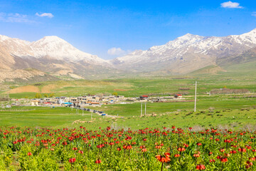 مسیر رسیدن به دشت لاله‌های واژگون کوهرنگ بسیار دیدنی و تماشایی است.