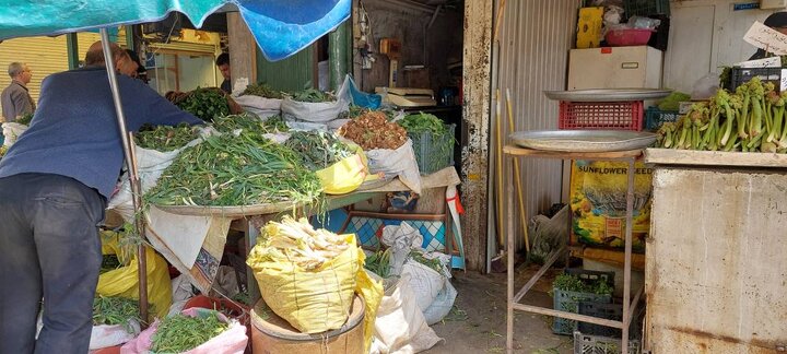 اردیبهشت البرز و ناسپاسی نسبت به هدیه‌های سبز کوهستان!