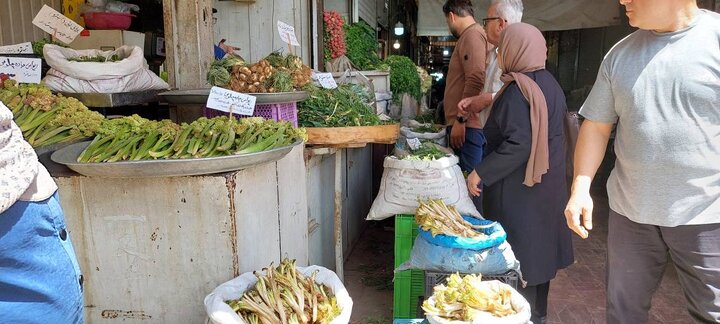 اردیبهشت البرز و ناسپاسی نسبت به هدیه‌های سبز کوهستان!