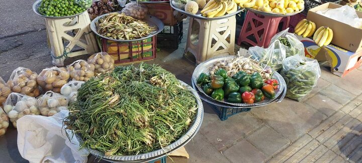 اردیبهشت البرز و ناسپاسی نسبت به هدیه‌های سبز کوهستان!