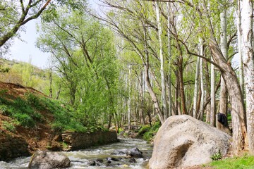 رود هایی که از آبشار های گنج نامه سرچشمه میگرند .