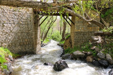 پل قدیمی بر  فراز رودی که از گنج نامه سر چشمه گرفته .