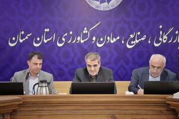 استاندار سمنان: چرخ تولید هیچ واحد تولیدی نباید به‌دلیل موانع اجرایی متوقف شود