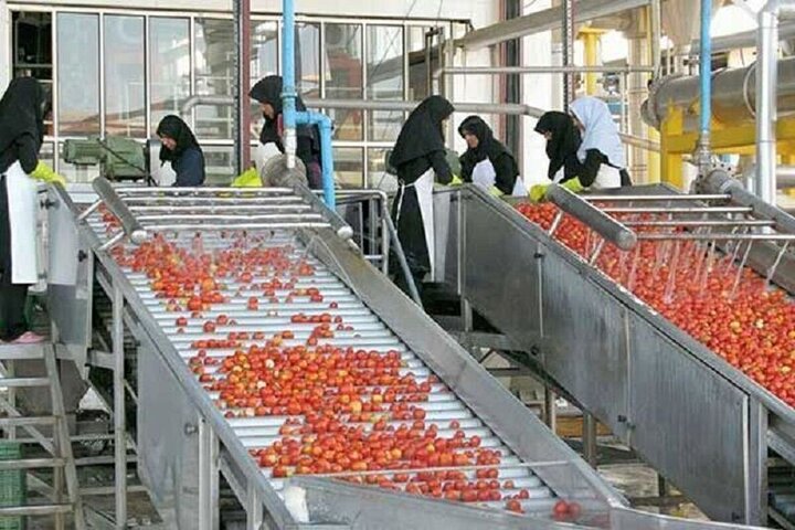 آغاز مرحله سوم پرداخت تسهیلات حمایتی حفظ اشتغال در استان البرز