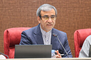 استاندار خراسان رضوی: دهه پایانی صَفر باید به یک برند ملی تبدیل شود