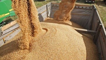 جذب ۹۶ درصدی اعتبار تعهدی «نوی‌پو» برای خرید نهاده‌های دامی در سیستان و بلوچستان
