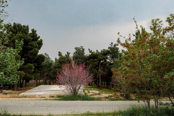 بوستان یاس - اتوبان بابایی تهران