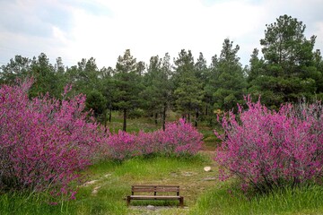 بوستان یاس - اتوبان بابایی تهران
