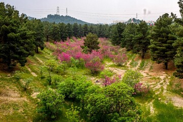 بوستان یاس - اتوبان بابایی تهران