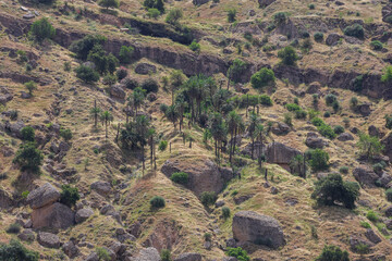 روستای پامنار در ۲۵ کیلومتری شهر دزفول و در منطقه تاریخی شهیون، در حاشیه دریاچه سد دز و میان رشته‌کوه‌های زاگرس قرار دارد؛ روستایی با طبیعت بکر، پیشینه تاریخی و فرهنگ بومی که امروز به یکی از متفاوت‌ترین مقاصد گردشگری طبیعی جنوب کشور تبدیل شده است